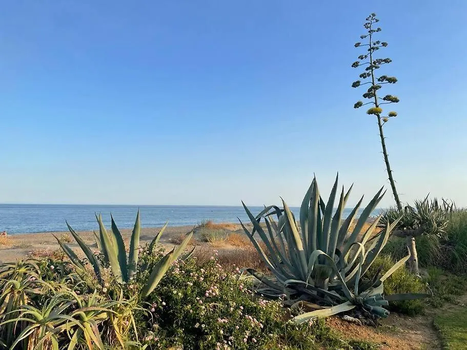 公寓 4 Bedroom Townhouse 200 Meters From The Beach! 埃斯特波纳